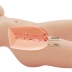 Мастурбатор-торс Tiffany Crazy Bull